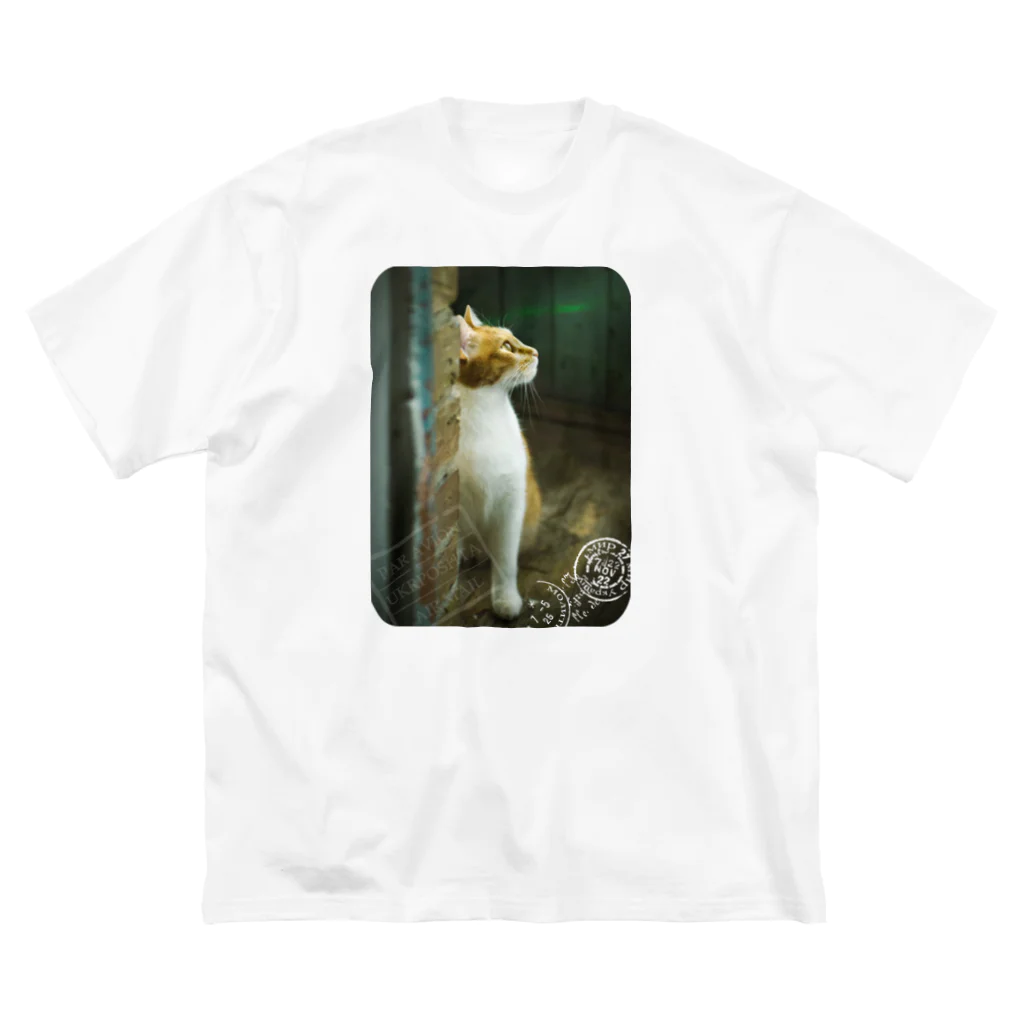 海賊猫 cocoのウクライナの猫 MurchikくんとNikotinくん♡ Cats ♡ Ukrainian cats #ウクライナ 本と猫 Donation Items Big T-Shirt