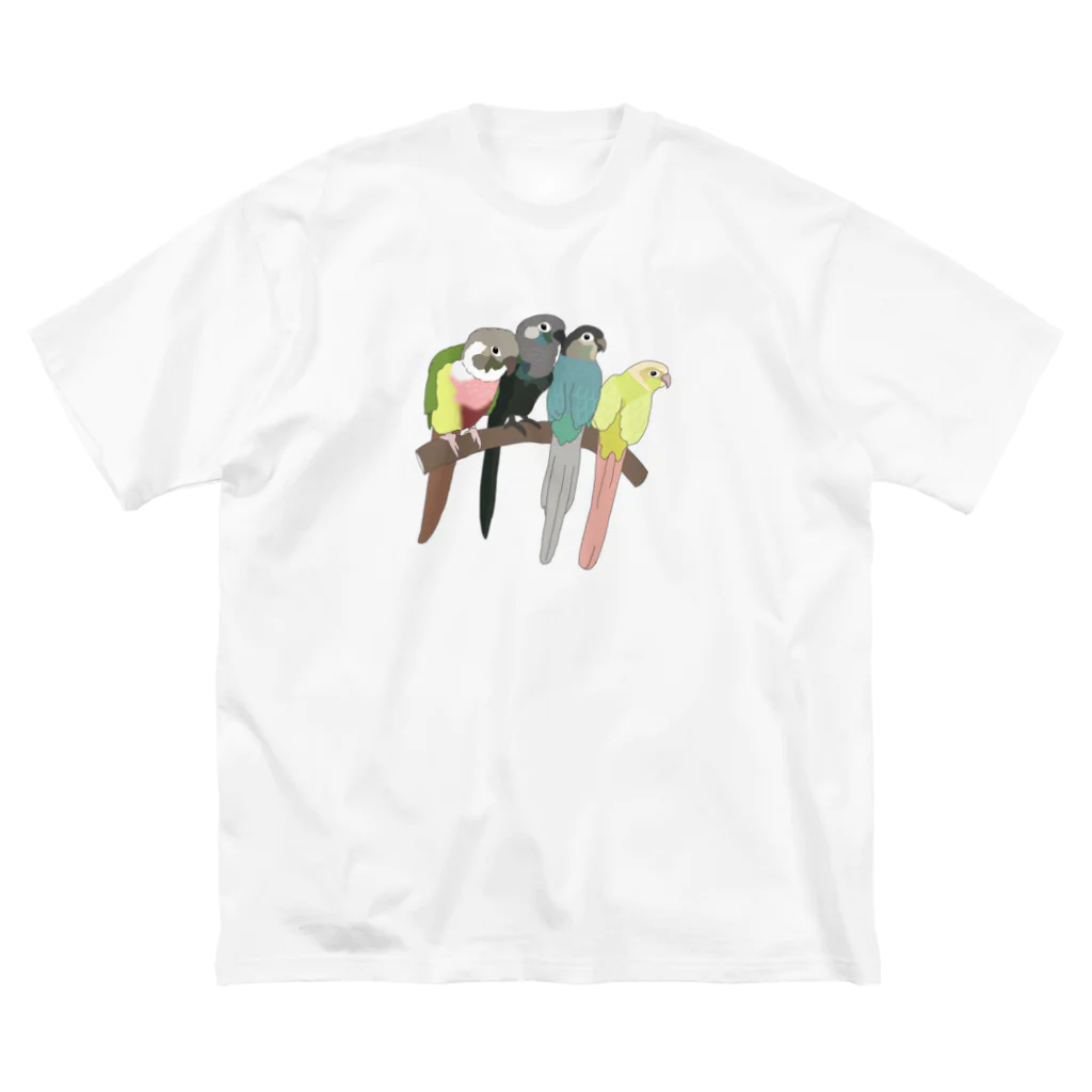 masumi maedaの寄り添う　ウロコインコ　 Big T-Shirt