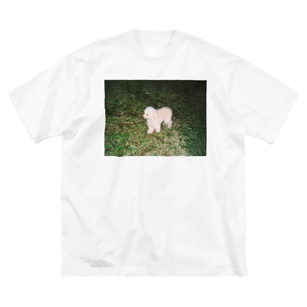 osayuのよその犬 Big T-Shirt