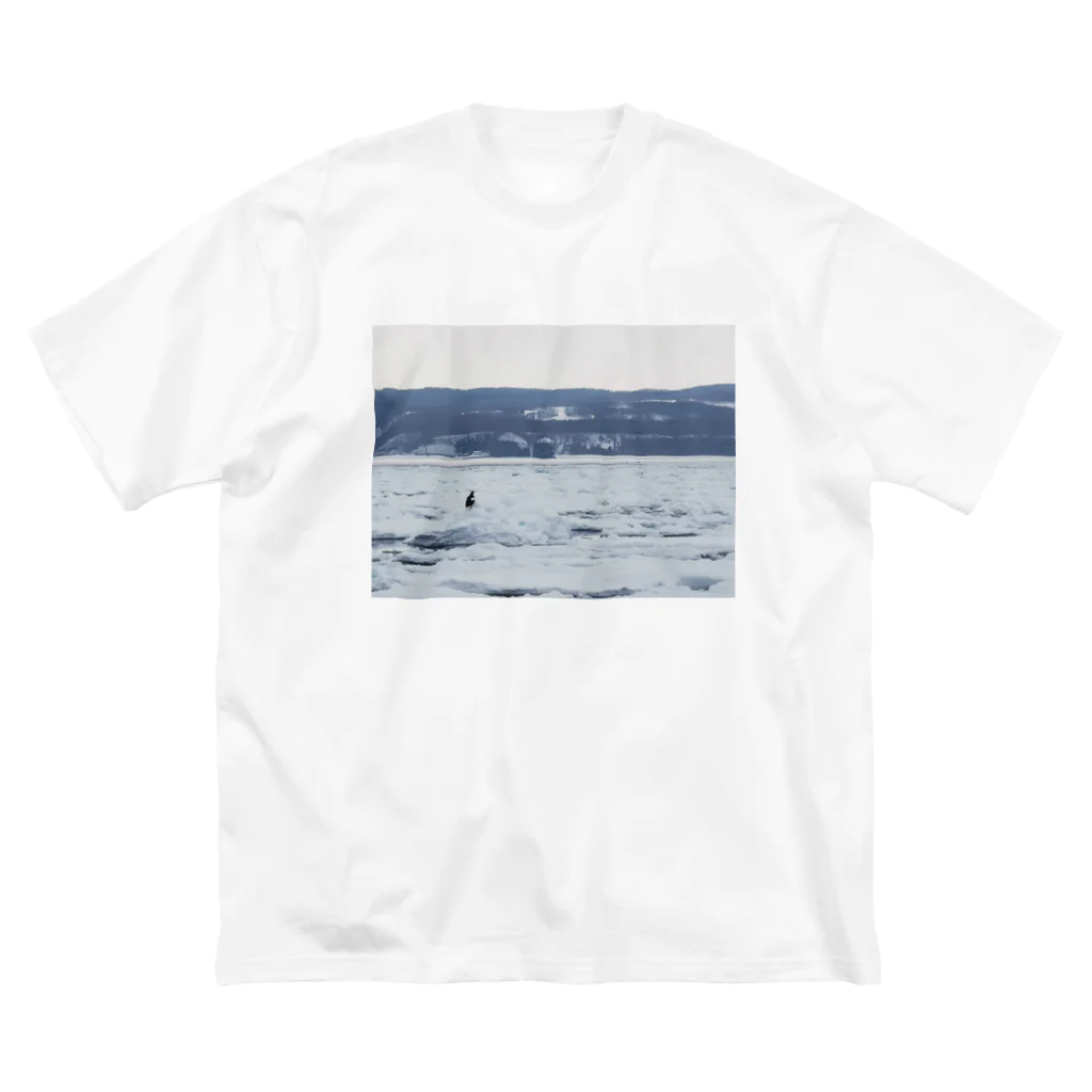 ハチドリ販売所の流氷と鳥 ビッグシルエットTシャツ