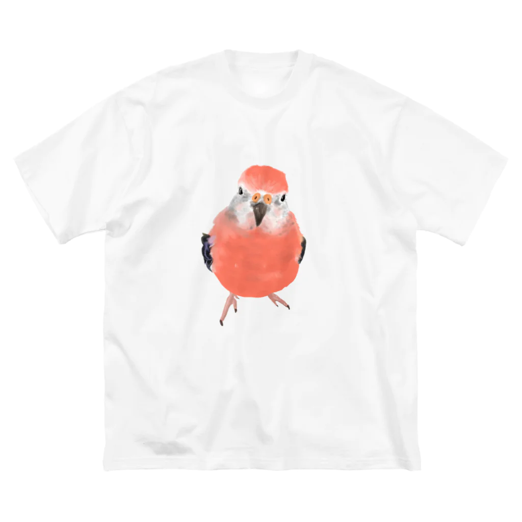 アキクサインコとウロコインコのアキクサインコ Big T-Shirt