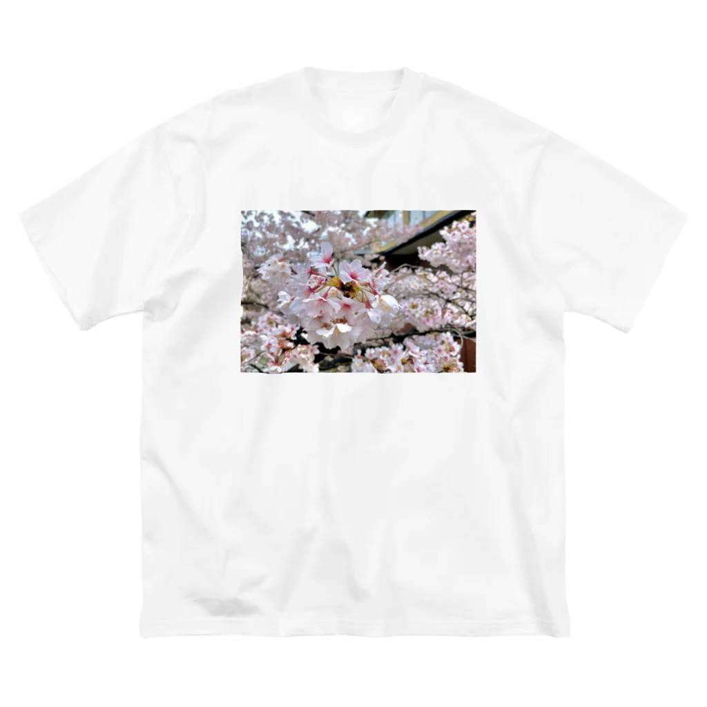 sceneryの桜 ビッグシルエットTシャツ