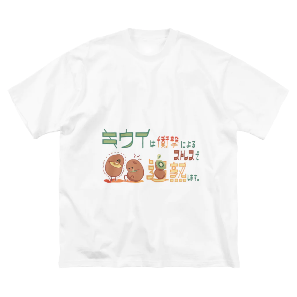 チラシの裏の湯引きの追熟キウイ ビッグシルエットTシャツ