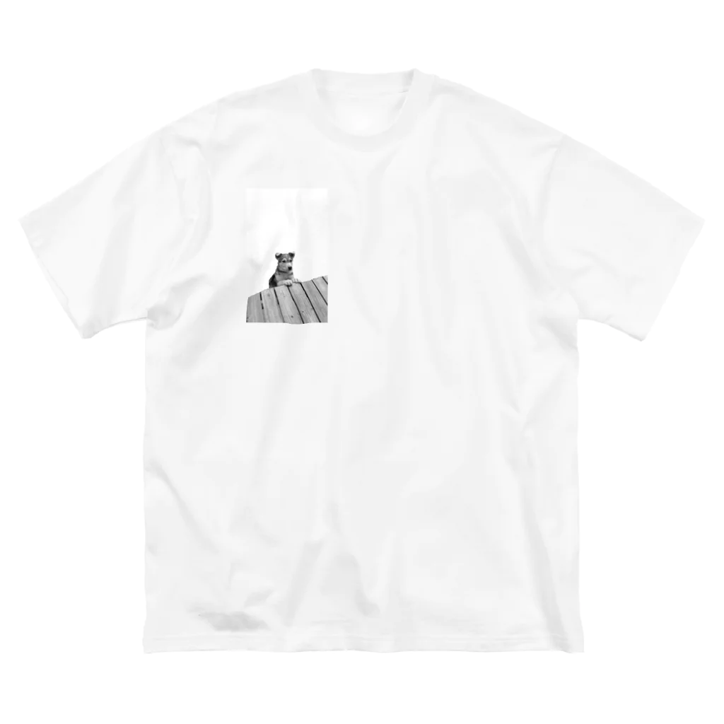 カエデのあの頃 Big T-Shirt