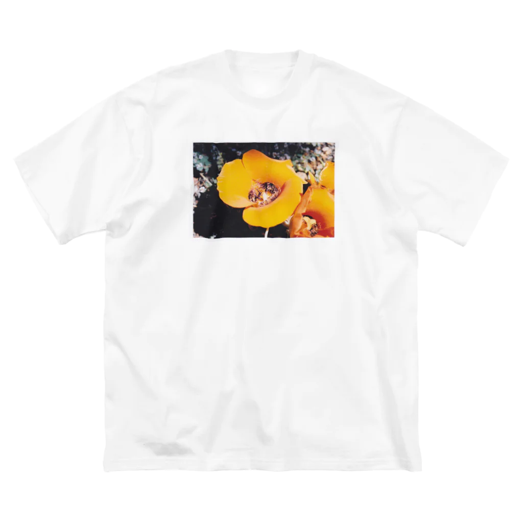 初審のClose Up of Orange Poppy Flower ビッグシルエットTシャツ