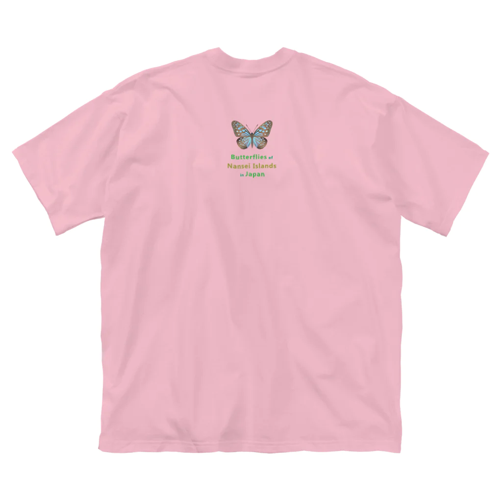HIGARI BLUEの日本の蝶 Butterflies of Japan 2（南西諸島 Nansei Islands）★英名、和名、学名 [ライトカラー] Big T-Shirt