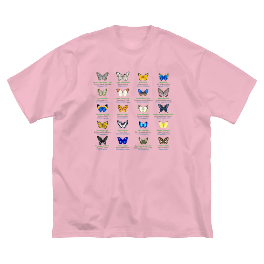 HIGARI BLUEの日本の蝶 Butterflies of Japan 2（南西諸島 Nansei Islands）★英名、和名、学名 [ライトカラー] ビッグシルエットTシャツ