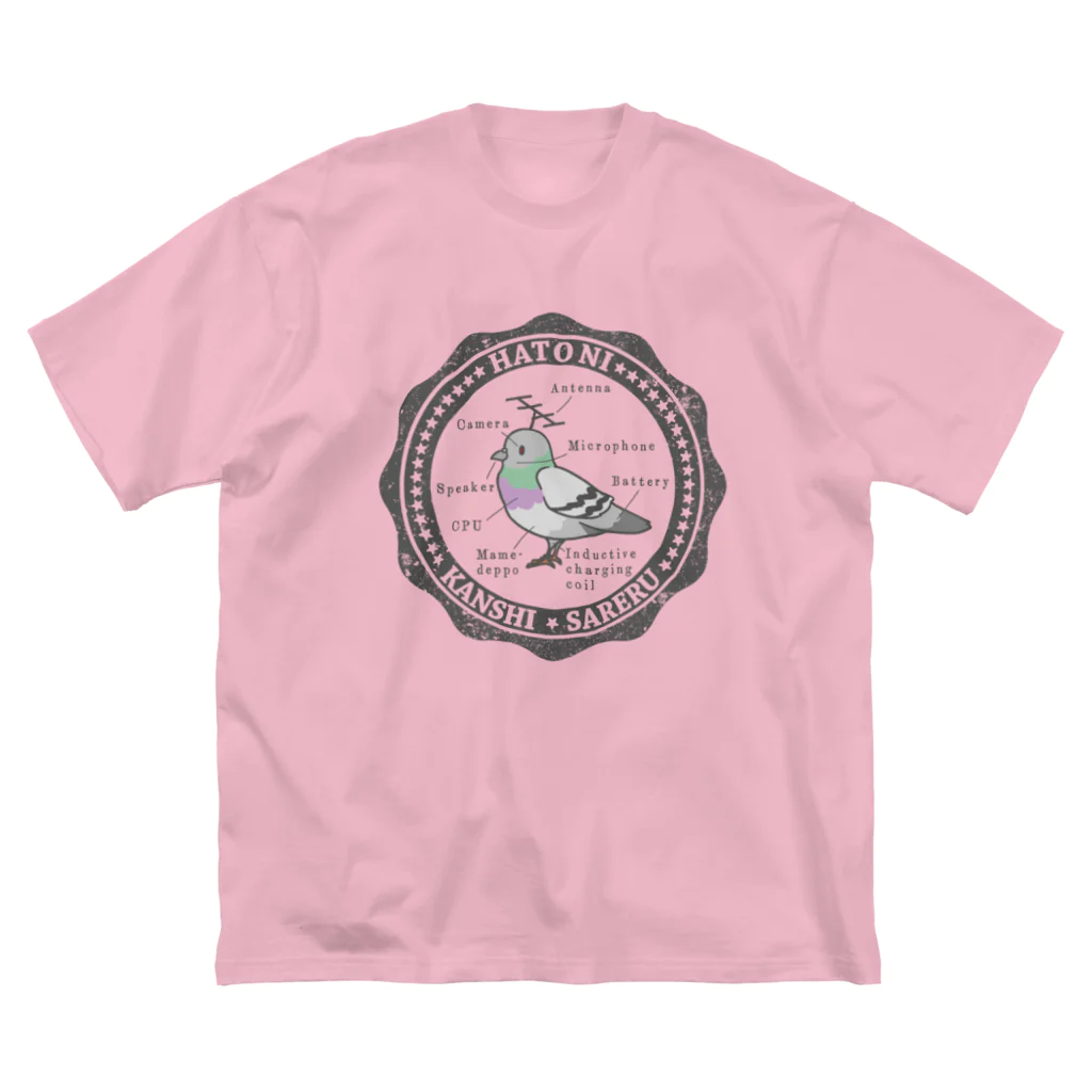 陰謀論かわいいのHATO NI KANSHI SARERU 公園にいるやつver. ビッグシルエットTシャツ