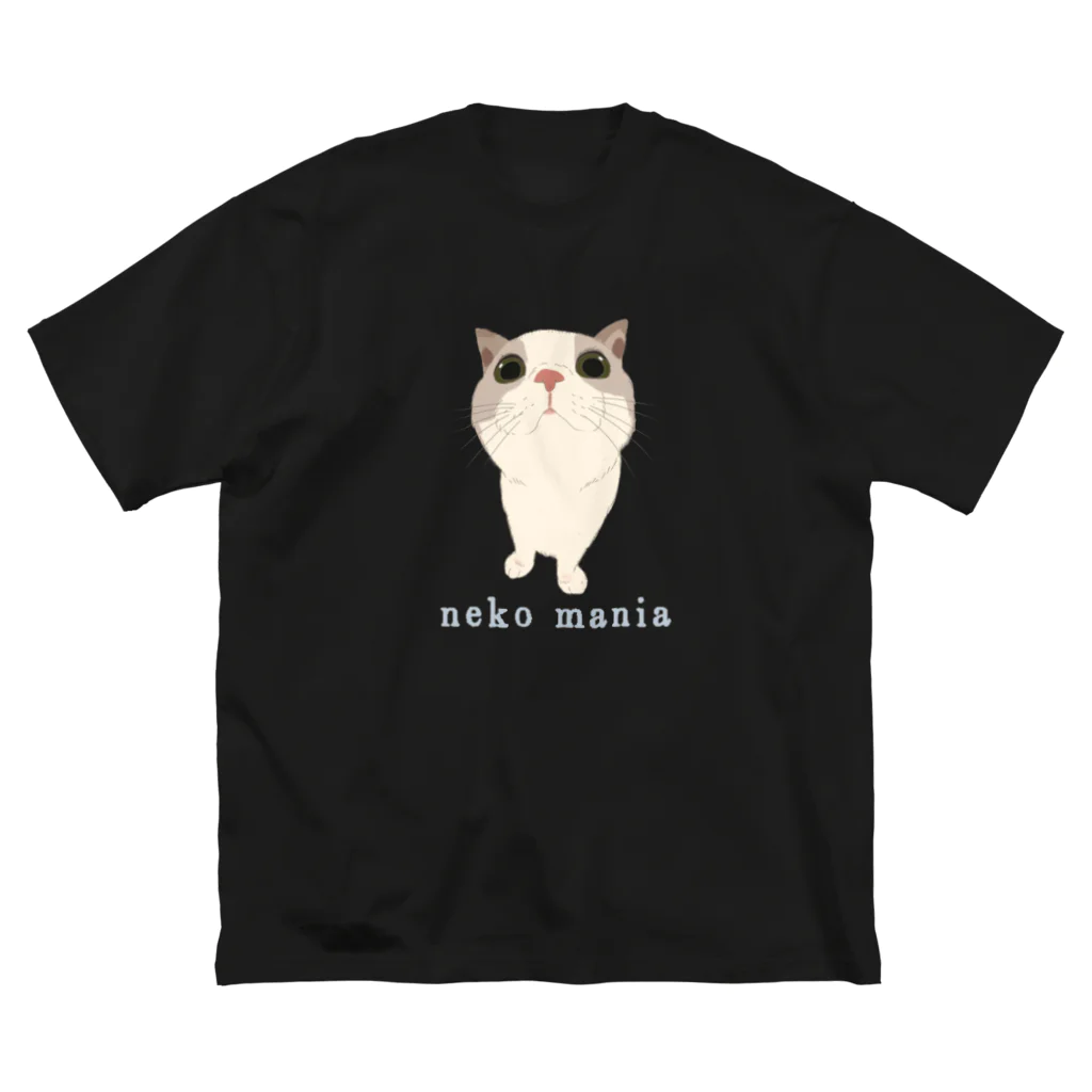 小鳥と映画館のネコマニア (顔からお手手が生えてるアングル) ビッグシルエットTシャツ