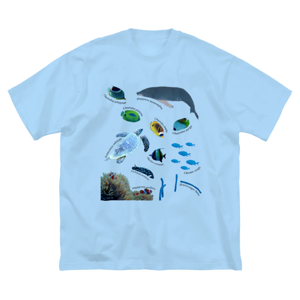 L_arctoaの沖縄の海の生き物 Big T-Shirt