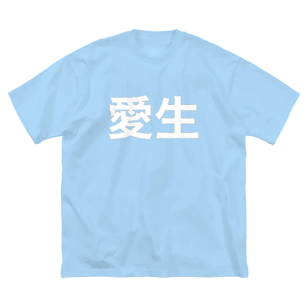 甘酸っぱいの神かくしのBig T-Shirt