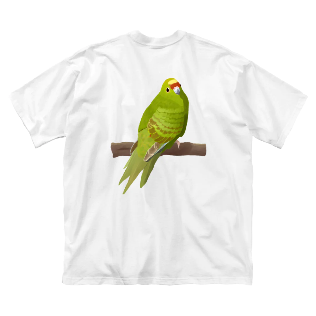 街のいろどりのキガシラアオハシインコ（背面プリント) ビッグシルエットTシャツ