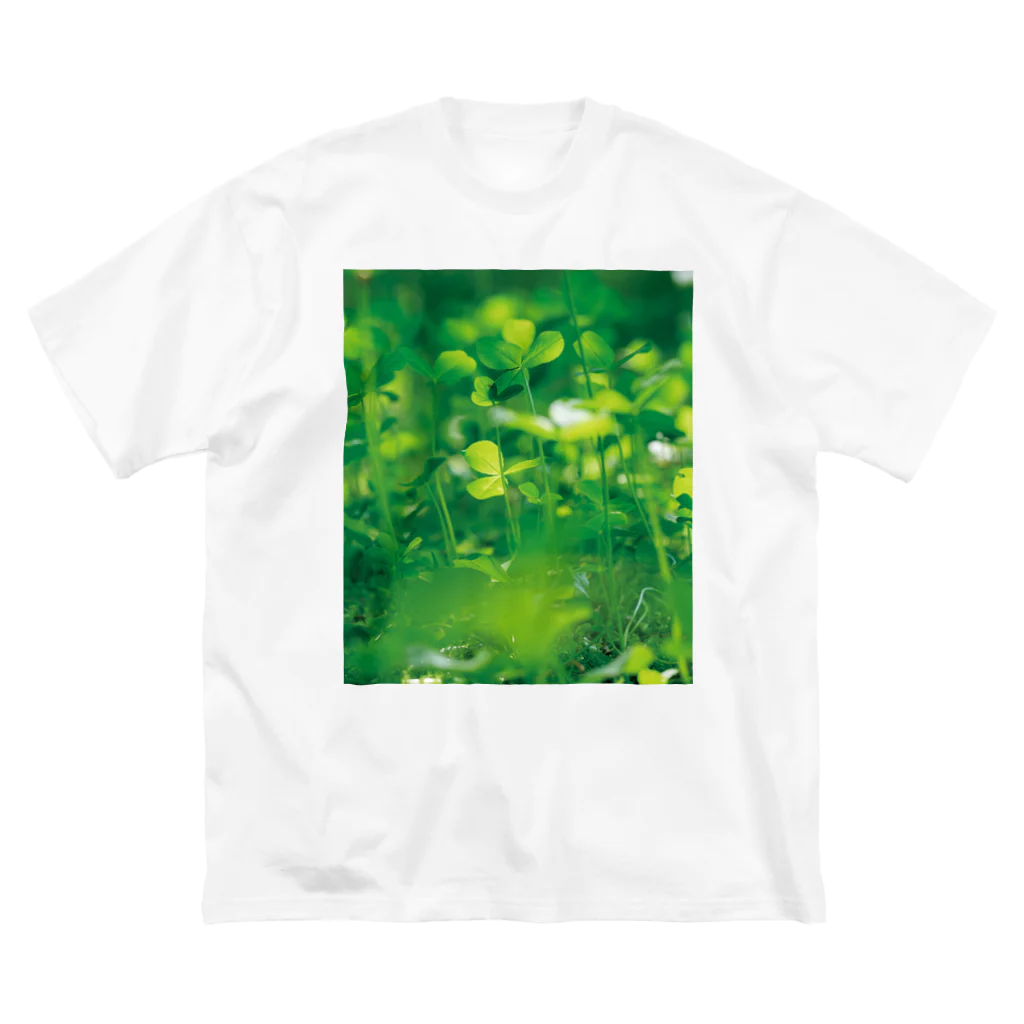 akane_art（茜音工房）の癒しの風景（クローバー） ビッグシルエットTシャツ