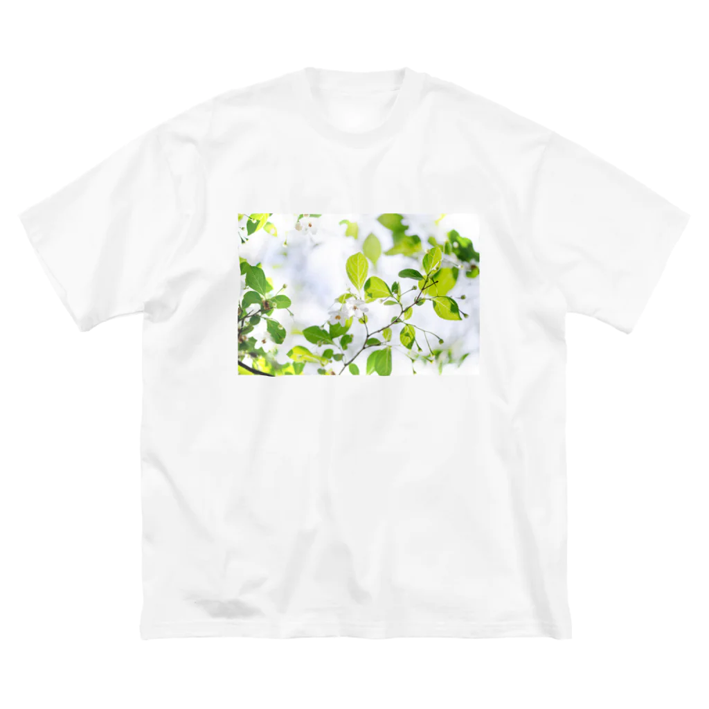 akane_art（茜音工房）の癒しの風景（エゴノキ） ビッグシルエットTシャツ