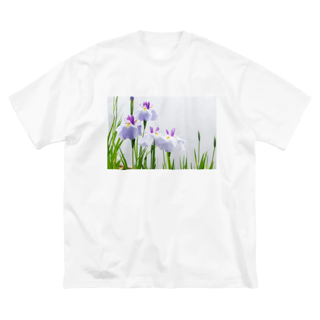 akane_art（茜音工房）の癒しの風景（花菖蒲） ビッグシルエットTシャツ