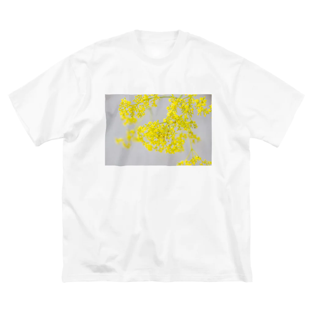 akane_art（茜音工房）の癒しの風景（オミナエシ） ビッグシルエットTシャツ