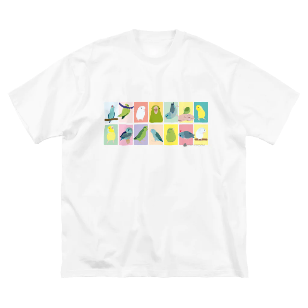 mametosoraの表情色々マメルリハ ビッグシルエットTシャツ