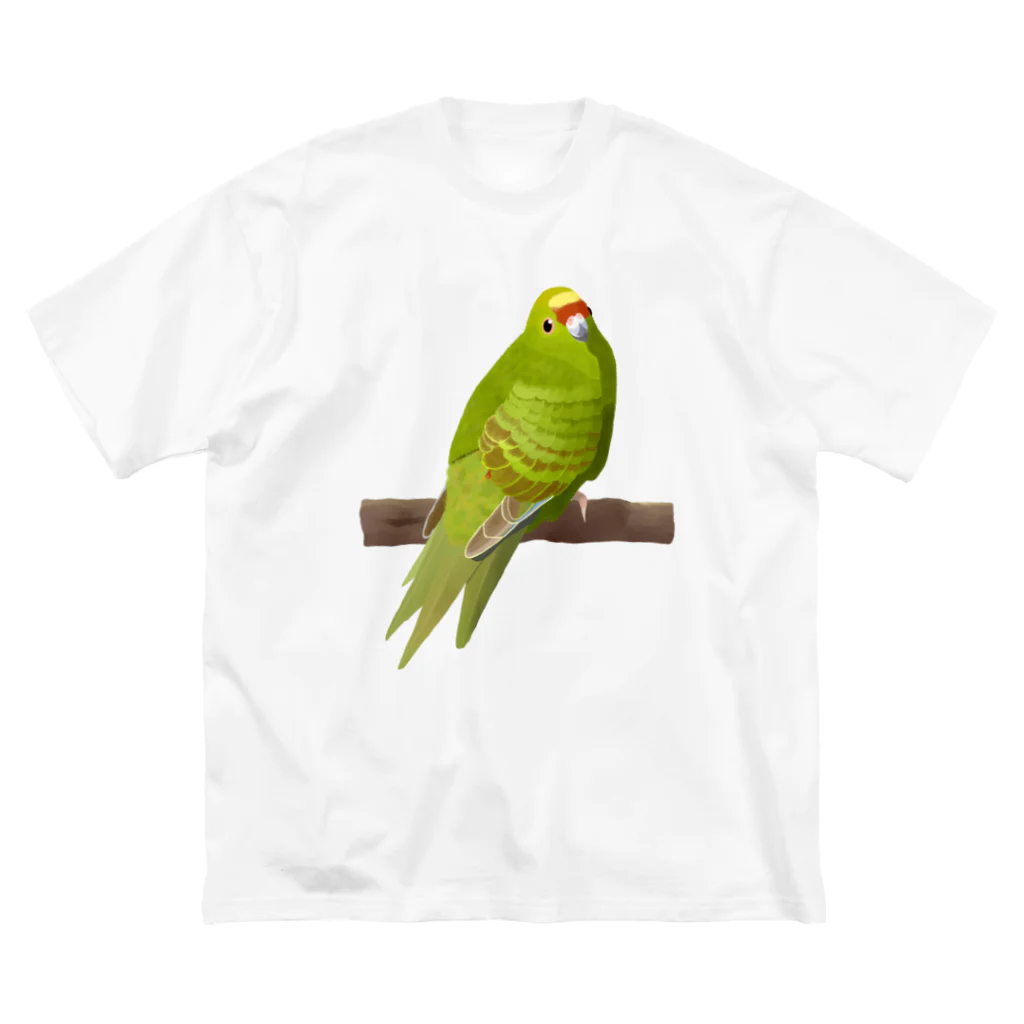 街のいろどりのキガシラアオハシインコ(前面プリント) ビッグシルエットTシャツ