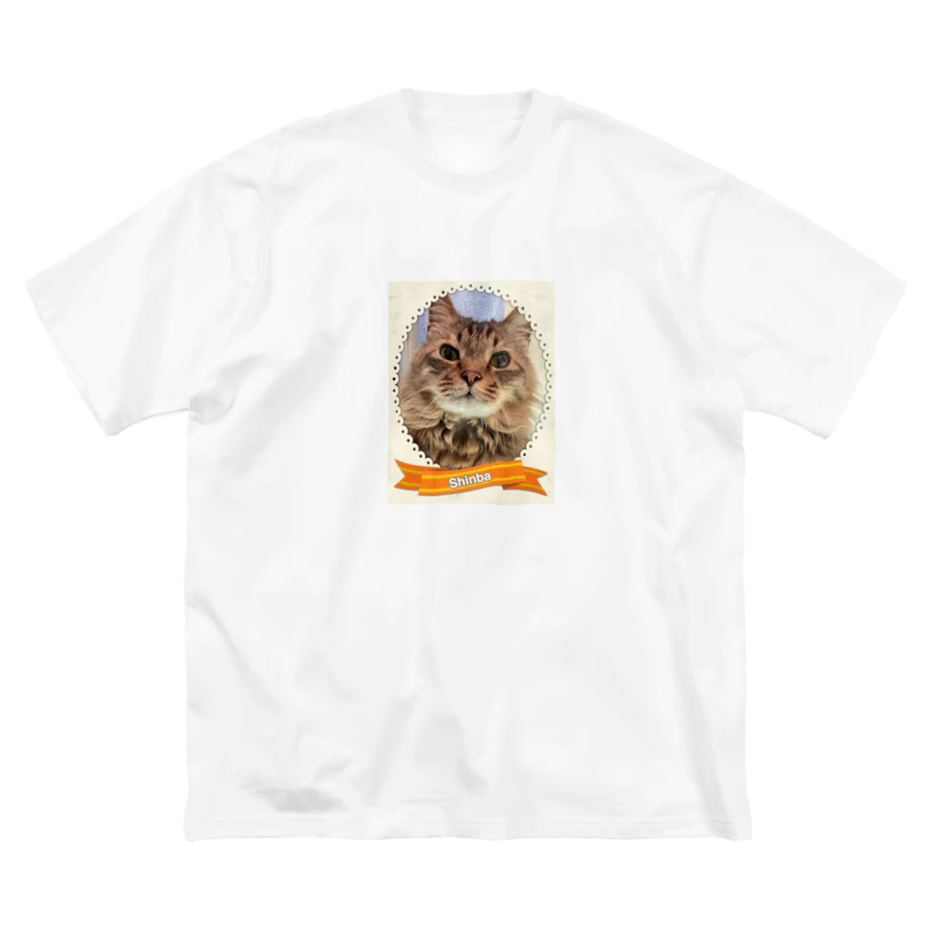 M家猫沢山屋の猫のシンバ君 ビッグシルエットTシャツ