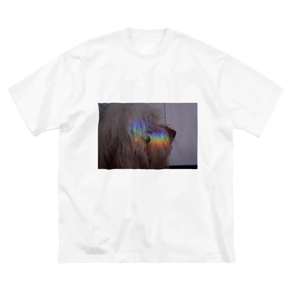 Dopey shopのrainbow dopey ビッグシルエットTシャツ