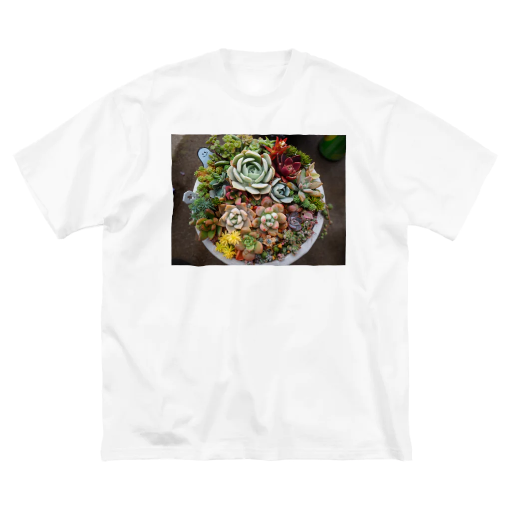 みきまるの写真の多肉植物寄せ植え Big T-Shirt