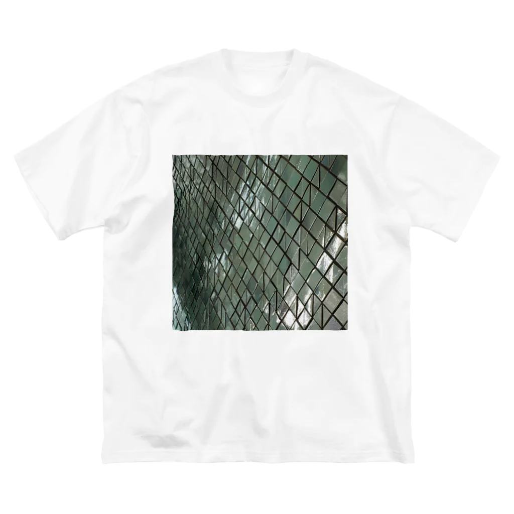 リューカデンドロンのタイル Big T-Shirt