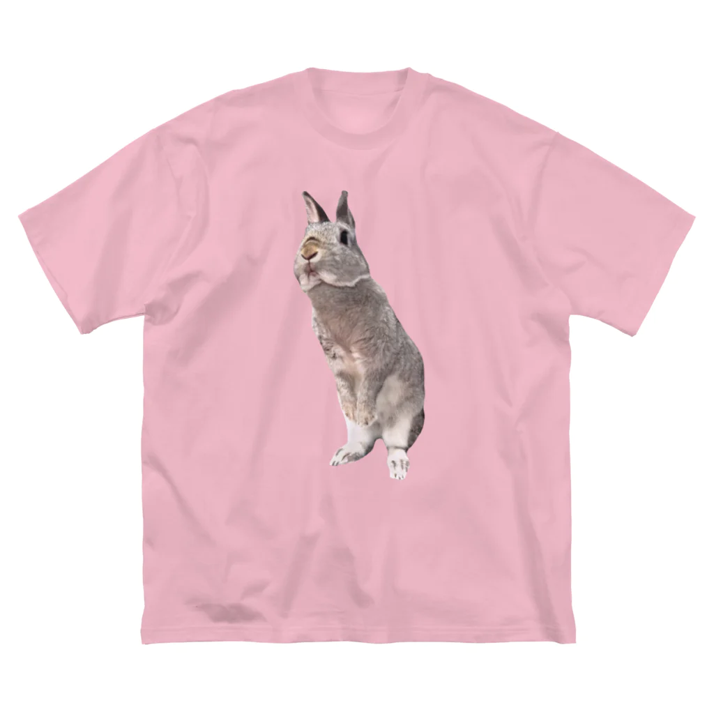 いきもの大好き！ほほえみフレンズのウサギさんのおすましポーズ Big T-Shirt