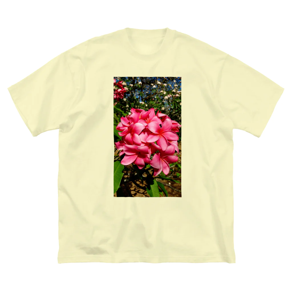 Hawaii Picturesのプルメリア🌺 ビッグシルエットTシャツ