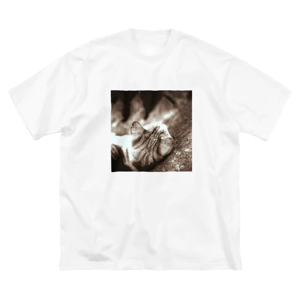 わらしゃんどの野良猫 Big T-Shirt