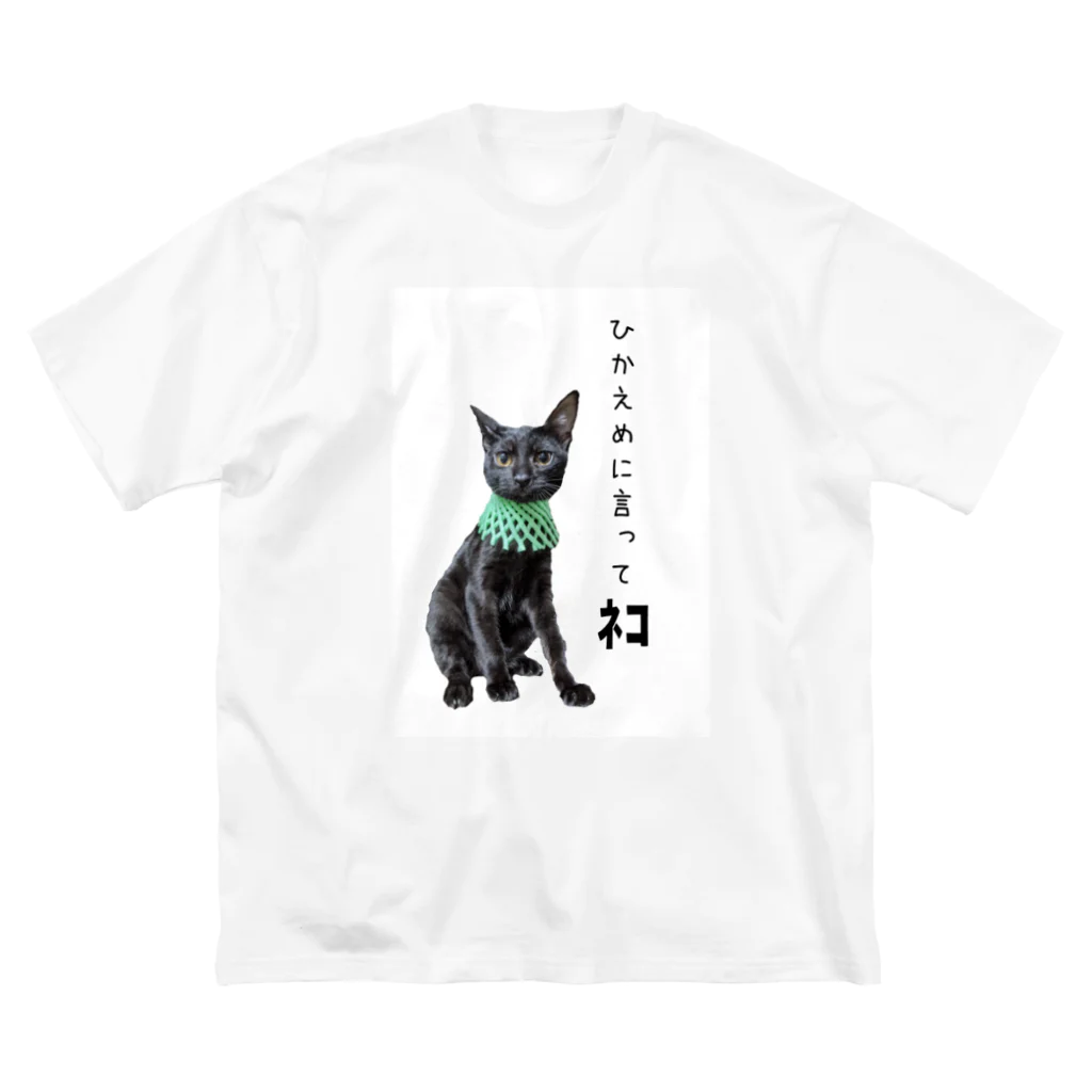 nekoinuitachi-kaori保護猫 TNRなどのひかえめに言ってねこ ビッグシルエットTシャツ