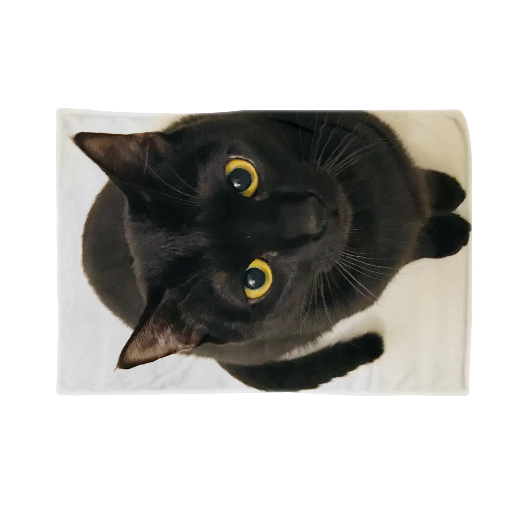 猫月♄志織♄の黒猫の零衣ちゃん ブランケット