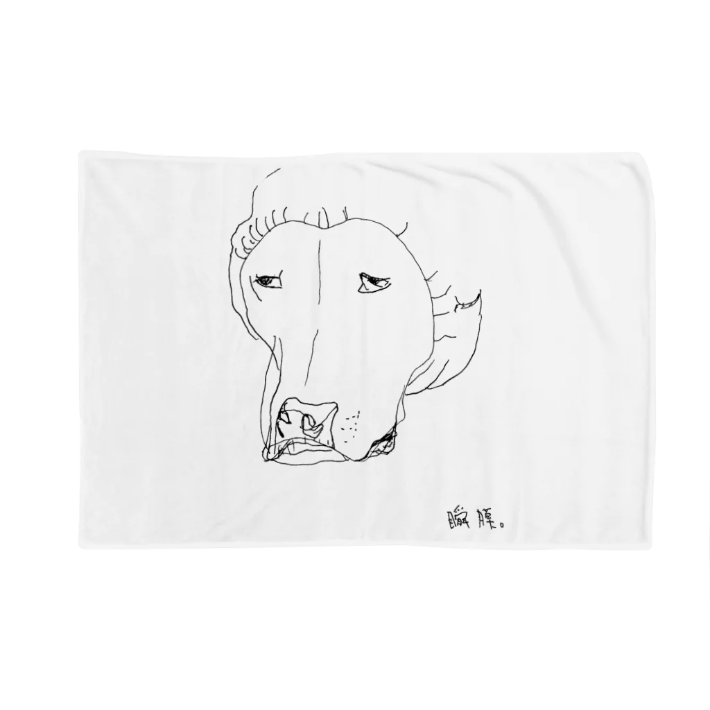 今日の白子のしらっＴ（瞬膜）フロント Blanket