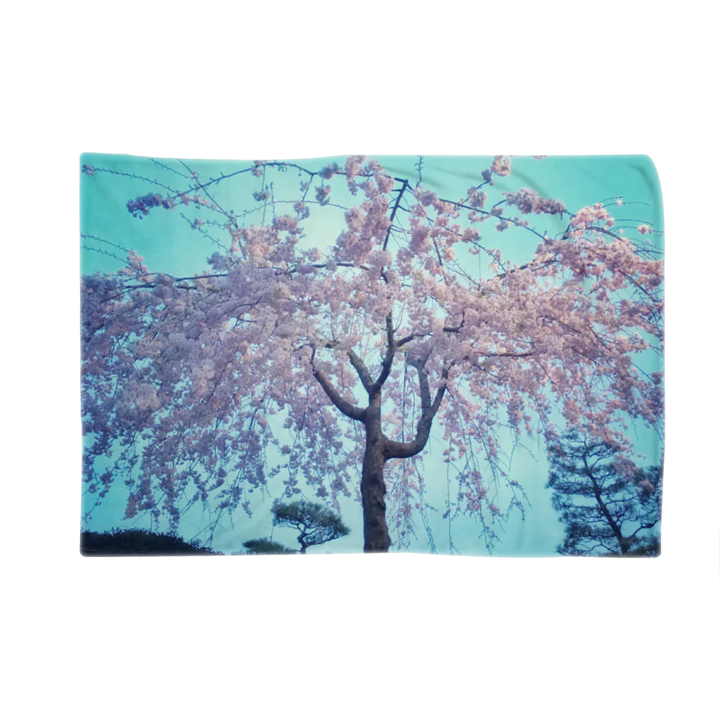 rainbow94の枝垂れ桜 Blanket