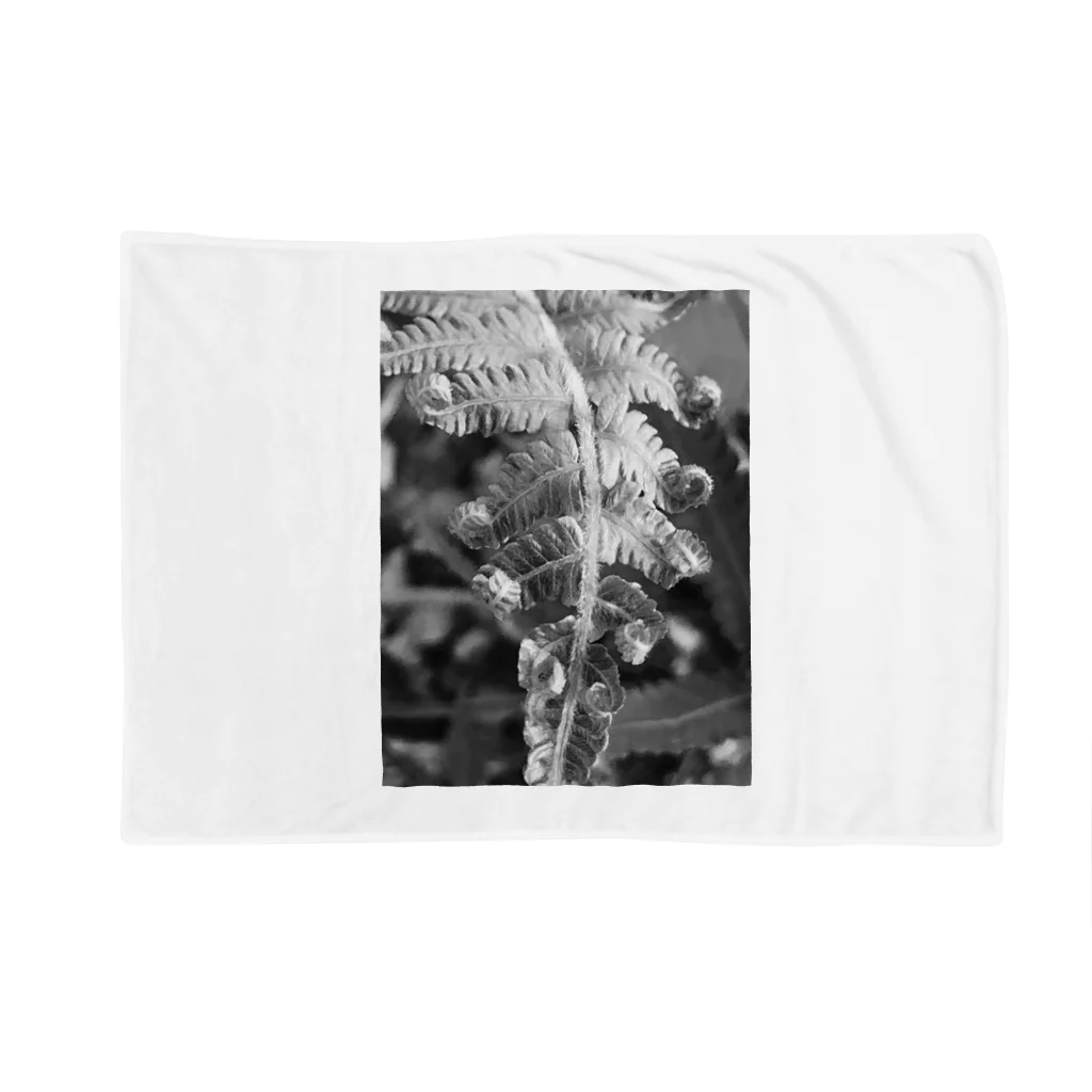 plants_okinawaの沖縄産のシダ Blanket