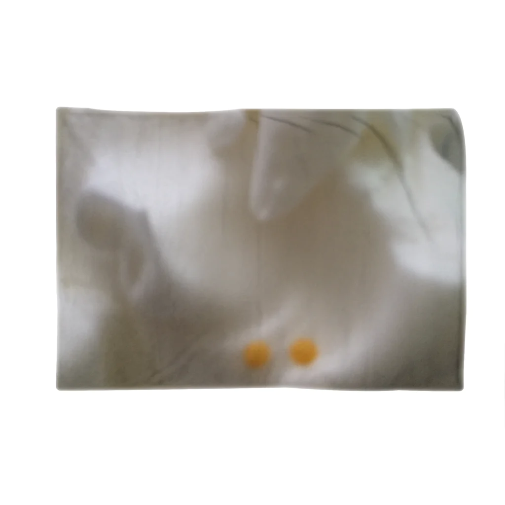 shizukusanの棚のメレンゲのメ Blanket