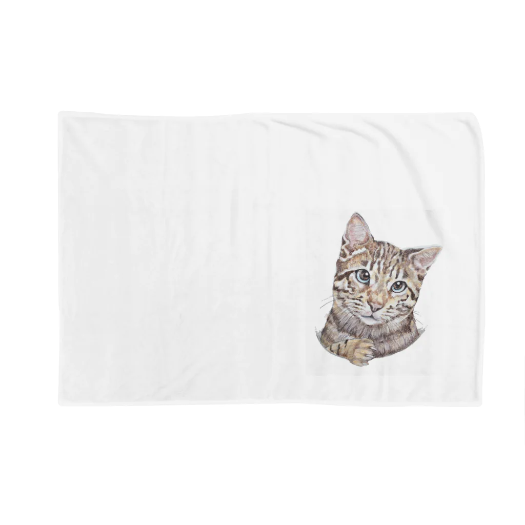 wanwanartの穴から猫 Blanket