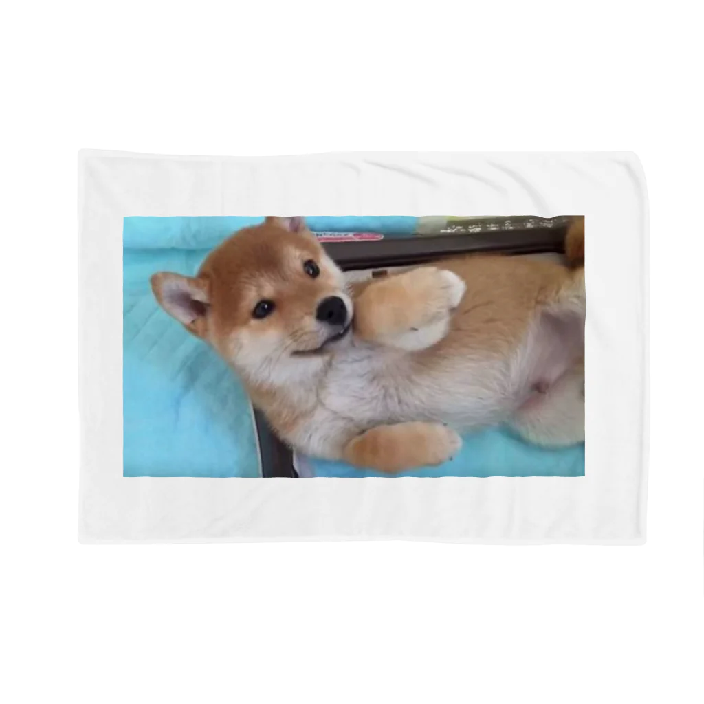 チャットシャルムの犬だよ〜 Blanket