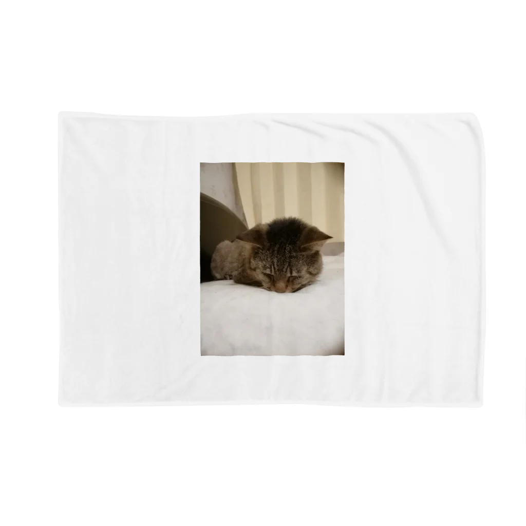 工房かみりゅんの家の猫　茶虎 Blanket