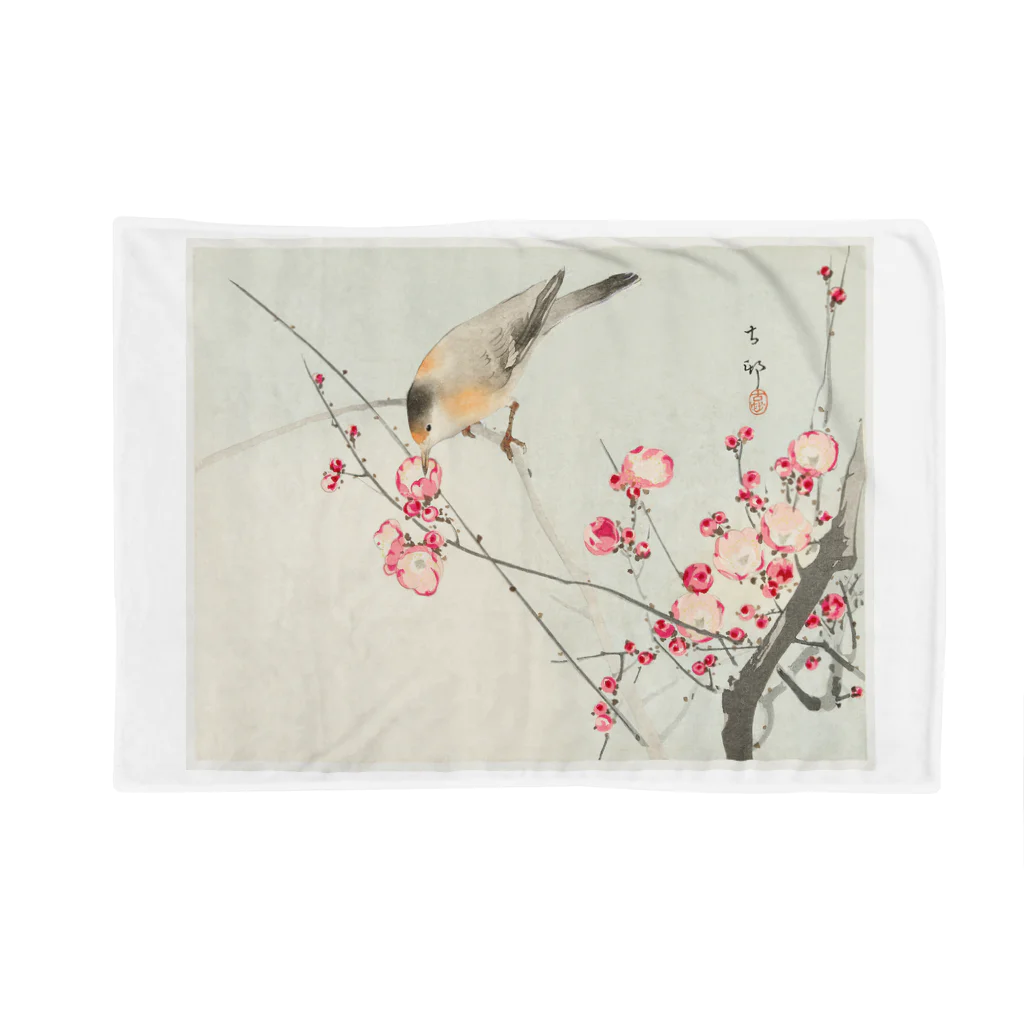 MUGEN ARTの小原古邨　梅に鶯　Ohara Koson / Songbird on blossom branch ブランケット