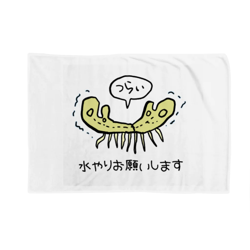 ぱぁら（多忙）の枯れてるゼニゴケちゃん Blanket