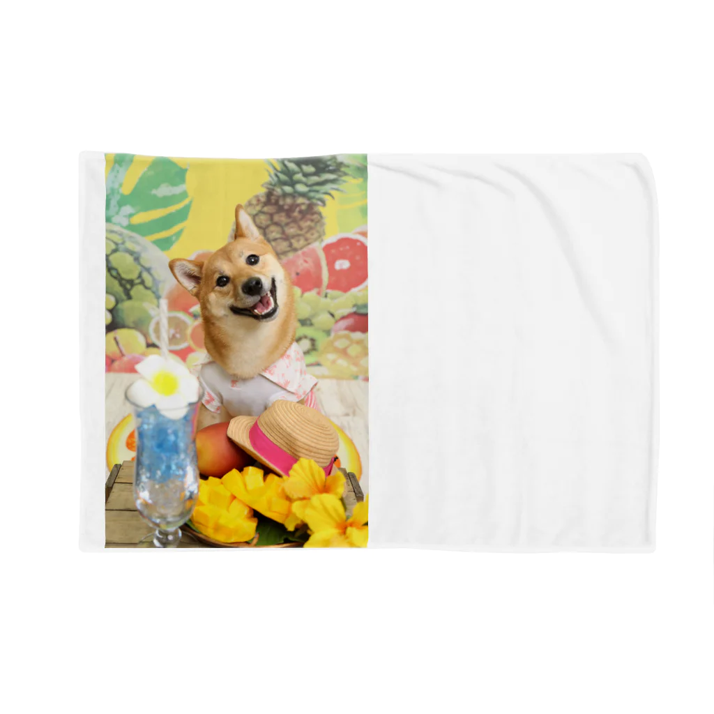 柴犬グッズ専門店 あられ堂の柴犬　真夏のリゾート001 Blanket