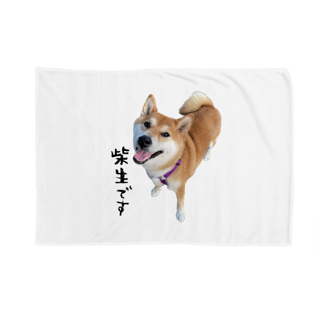 SHIBAOOOOOの柴生です ブランケット