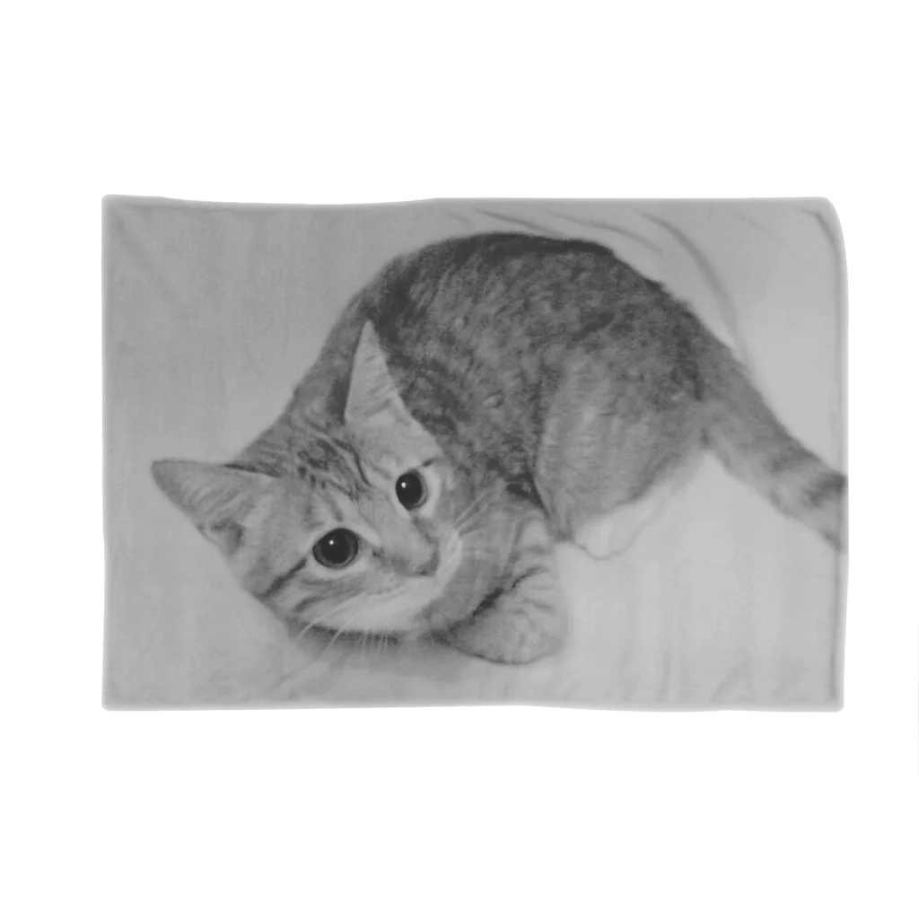 DTIのモノクロ猫 Blanket