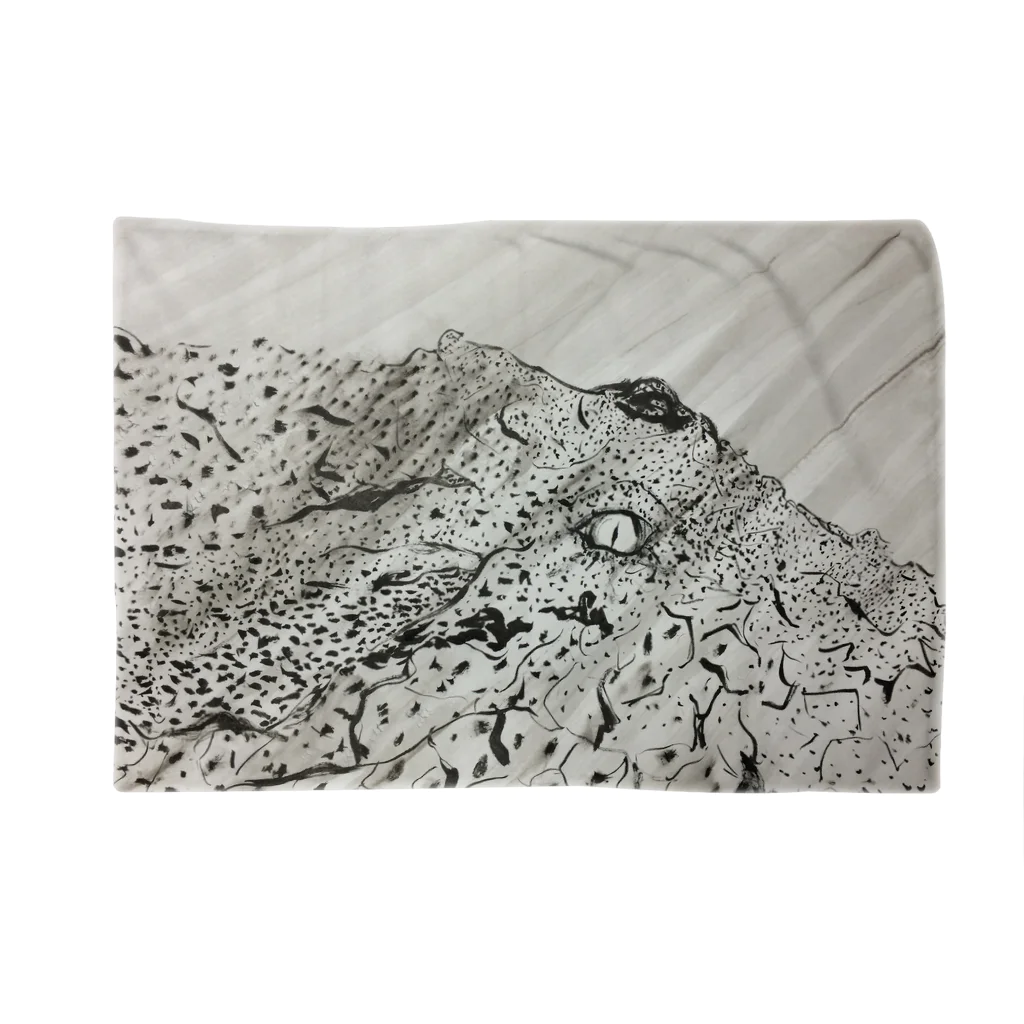 kita nobuwaのひかりにふれる Blanket