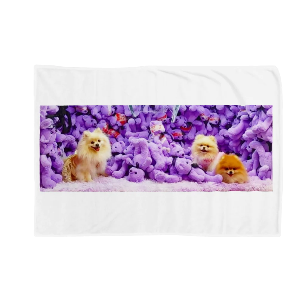 3pomeranian-leo-house　グッズショップのGothic & Lolita　ポメラニアン　白 Blanket