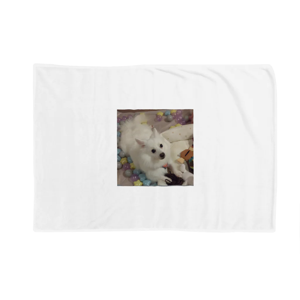 MIPA♥の愛犬パールグッズ　Mipa♥日本スピッツ Blanket