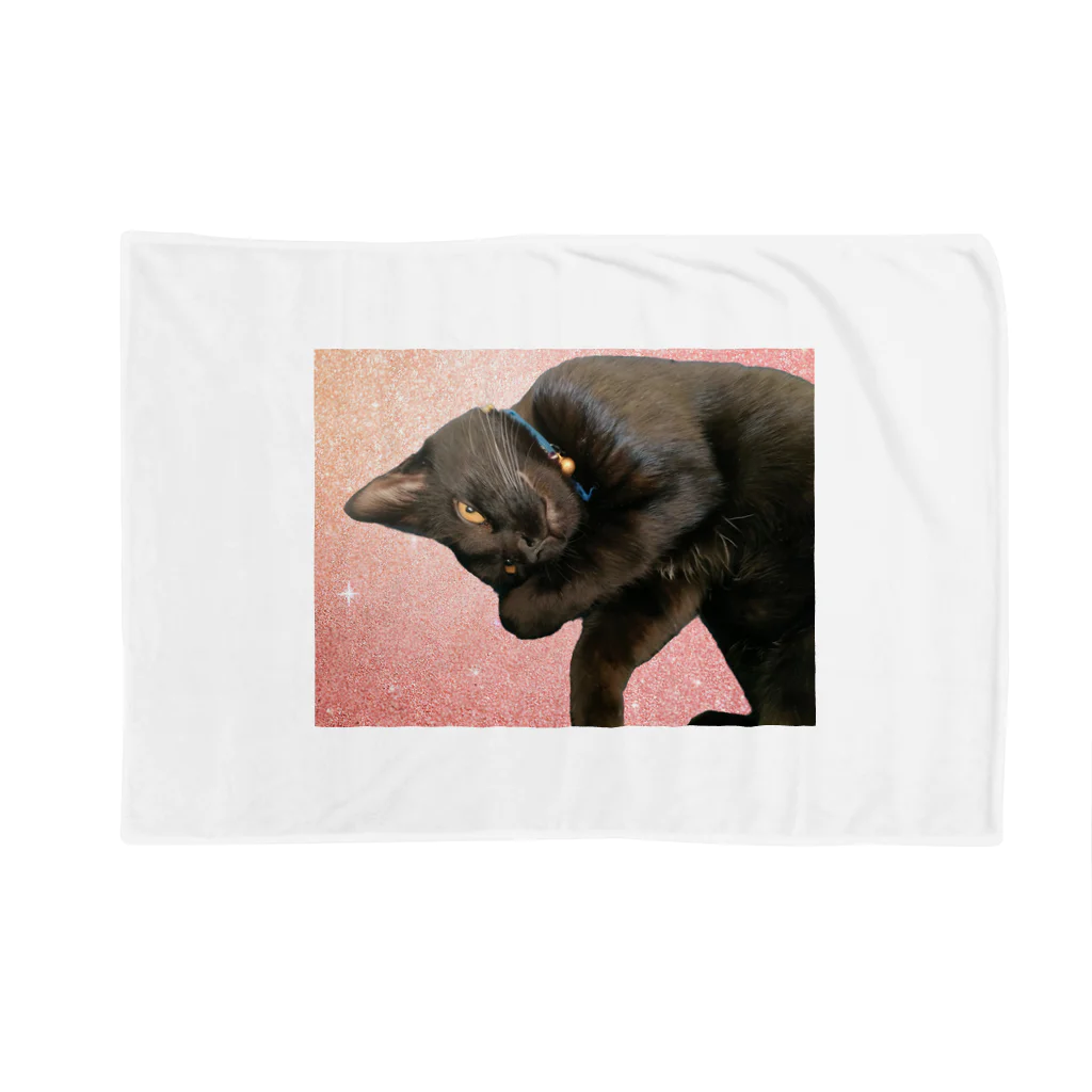 月ノ宮狐⁺🌙⛩️🦊⁺の黒猫ちも Blanket