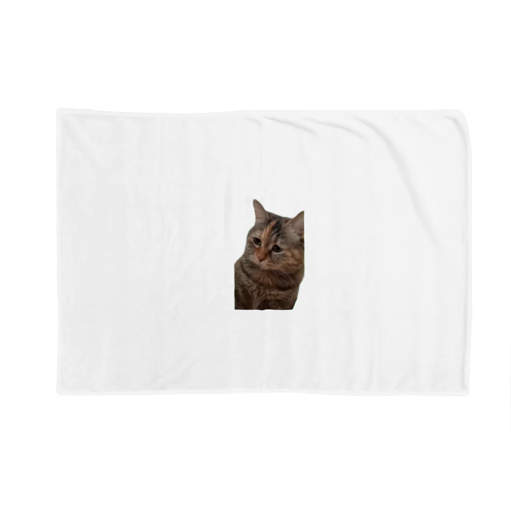 猫ミームグッズの【猫ミーム】叱られる猫 Blanket