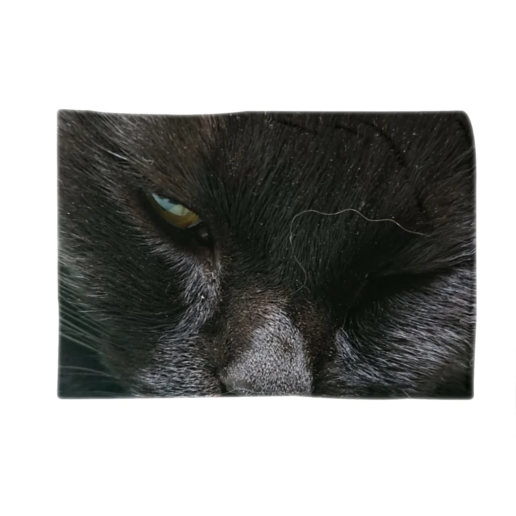 ゴマのような猫の舌が出てる黒い猫 Blanket