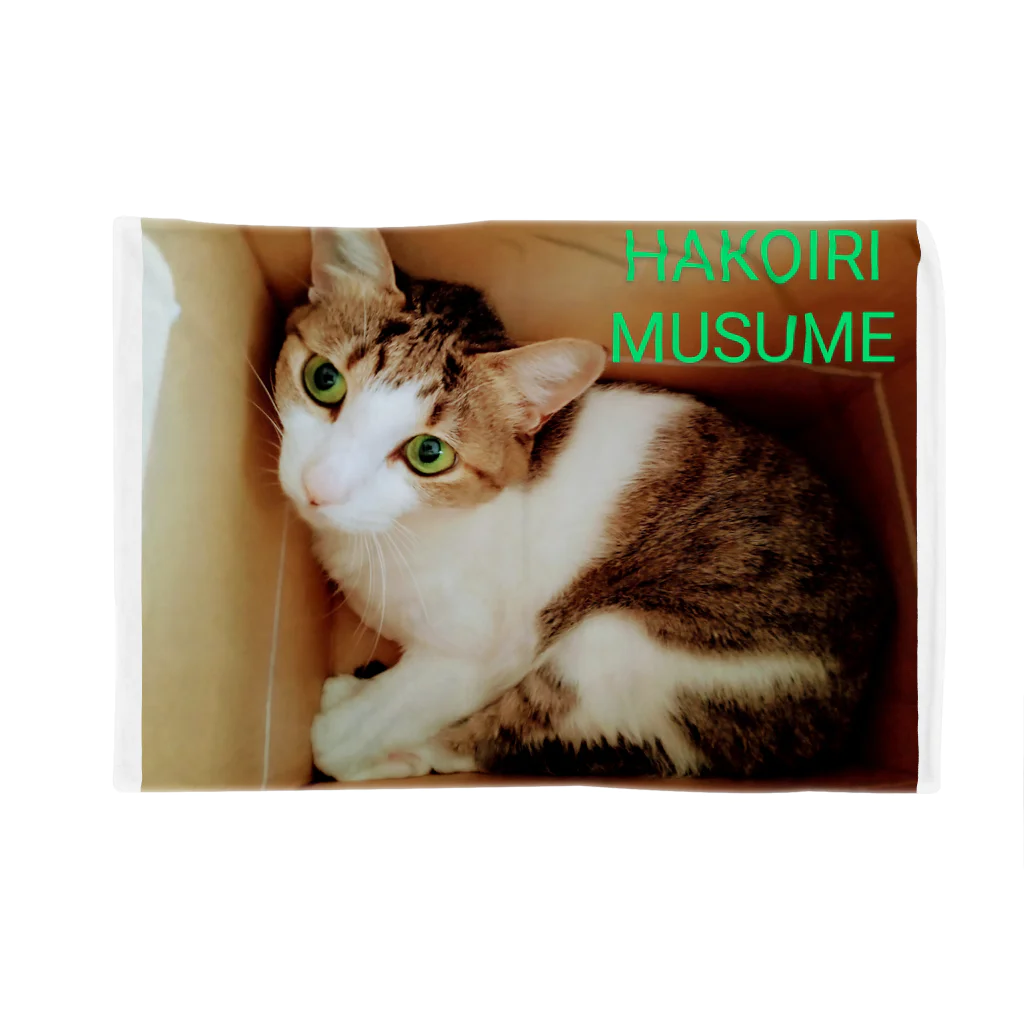 ハンドメイドSaoriのハコイリムスメ(猫) ブランケット